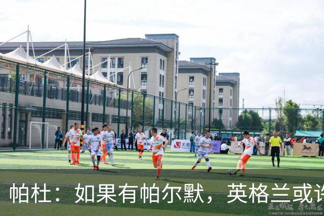 帕杜：如果有帕尔默，英格兰或许能破加纳防守
